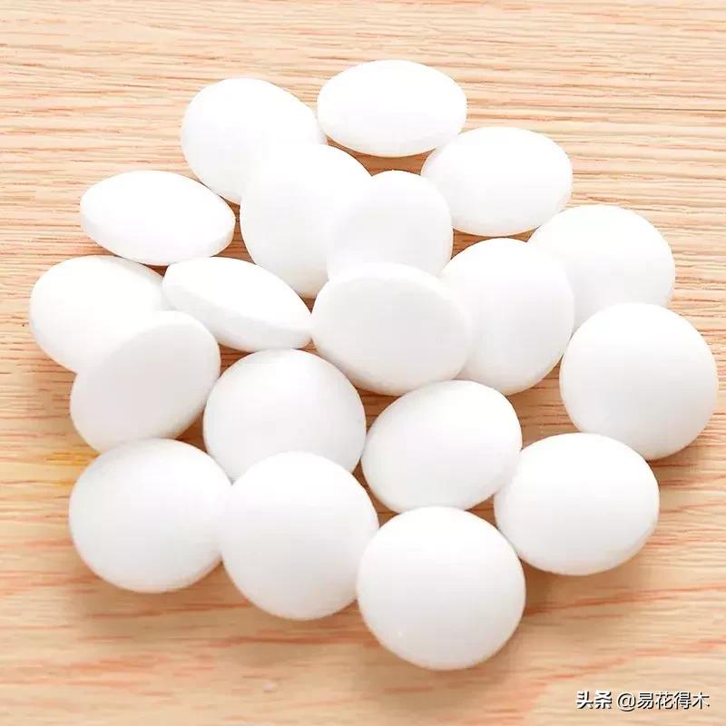 盆栽飞虫怎么杀,盆栽小黑飞虫怎么治