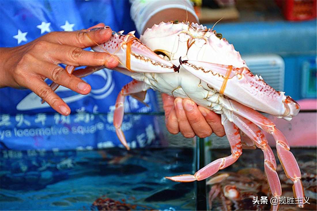 2019三亚海鲜广场,三亚火车头万人海鲜广场海鲜种类