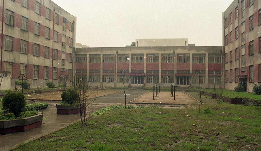 南医大杀人案纪实全集,南医大杀人案大案实录