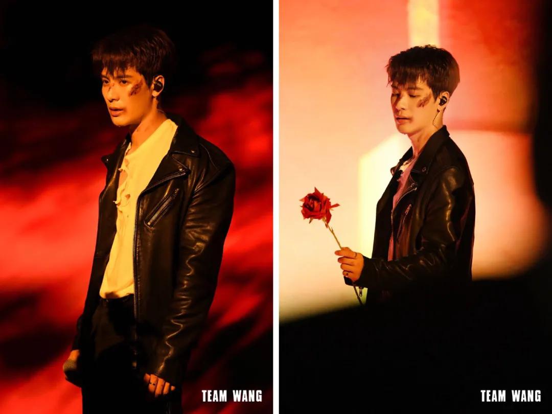 王嘉尔小众,王嘉尔小众配饰