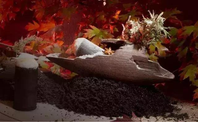 广州最贵的顶级餐厅,中国最贵餐厅排行榜