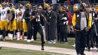 这可能是整个体育圈最扯的工作……