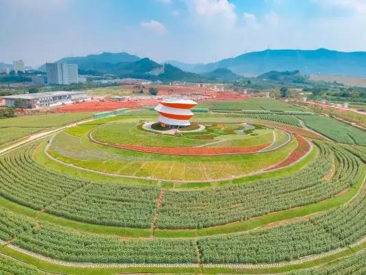 去深圳十大景点,到深圳必玩十大景区1天时间够吗