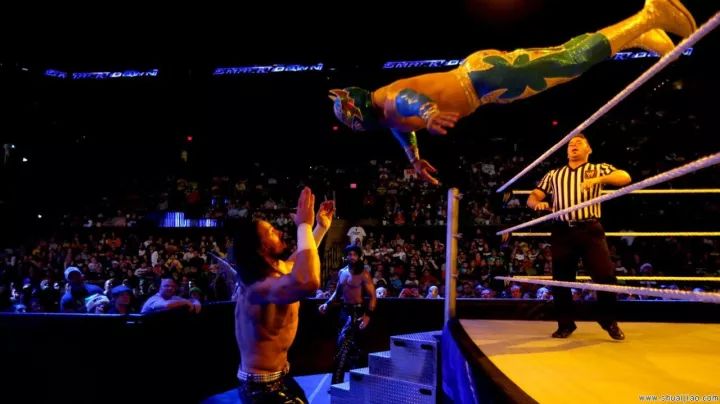 被wwe解雇的十大巨星,wwe被解雇人员