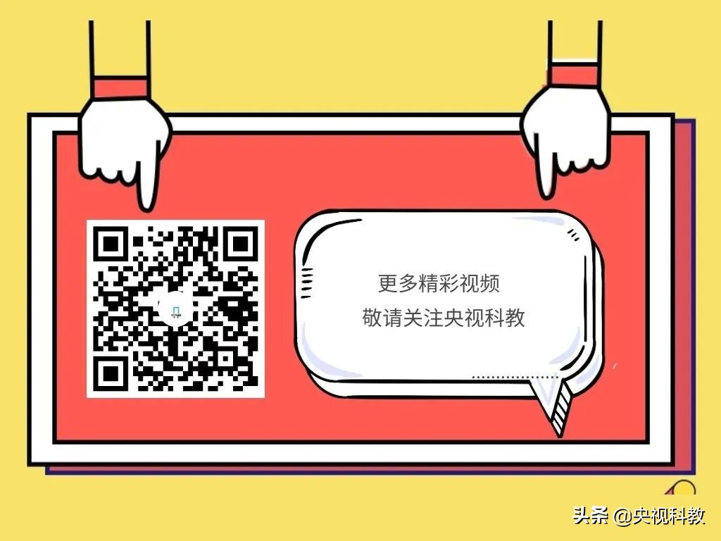 名著中的中秋节,名著里关于中秋佳节的描写