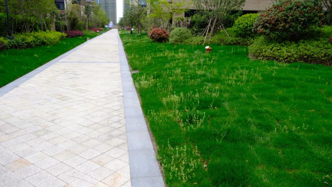 朝闻天下楼盘为什么这么便宜,潮闻天下房价