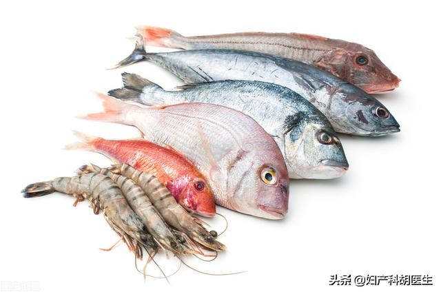 三文鱼孕妇晚期能吃吗,三文鱼孕妇真的不能吃吗