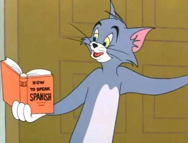 二十年后的汤姆猫,许多年后汤姆猫