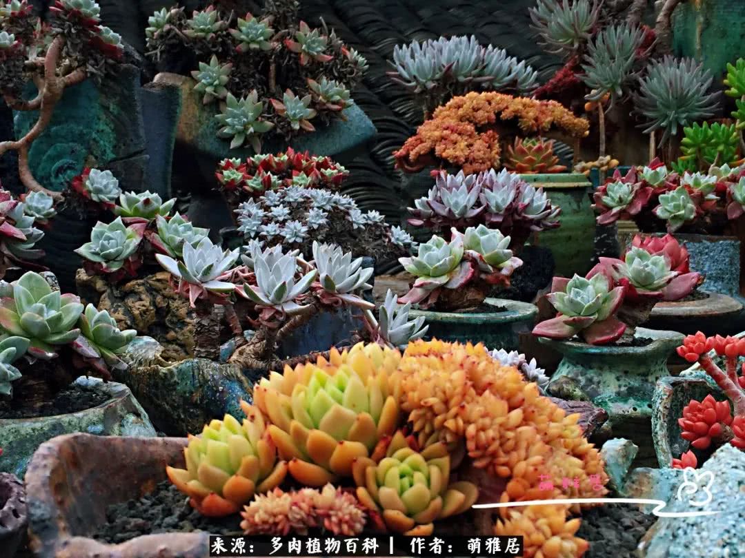 鍒濆啲鏆栭槼鍥寸倝鐓尪,鍐洦鍝佽尪