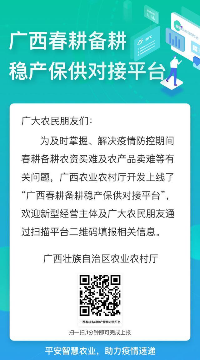 广西砂糖橘销售行情,广西沙糖桔带动东北经济