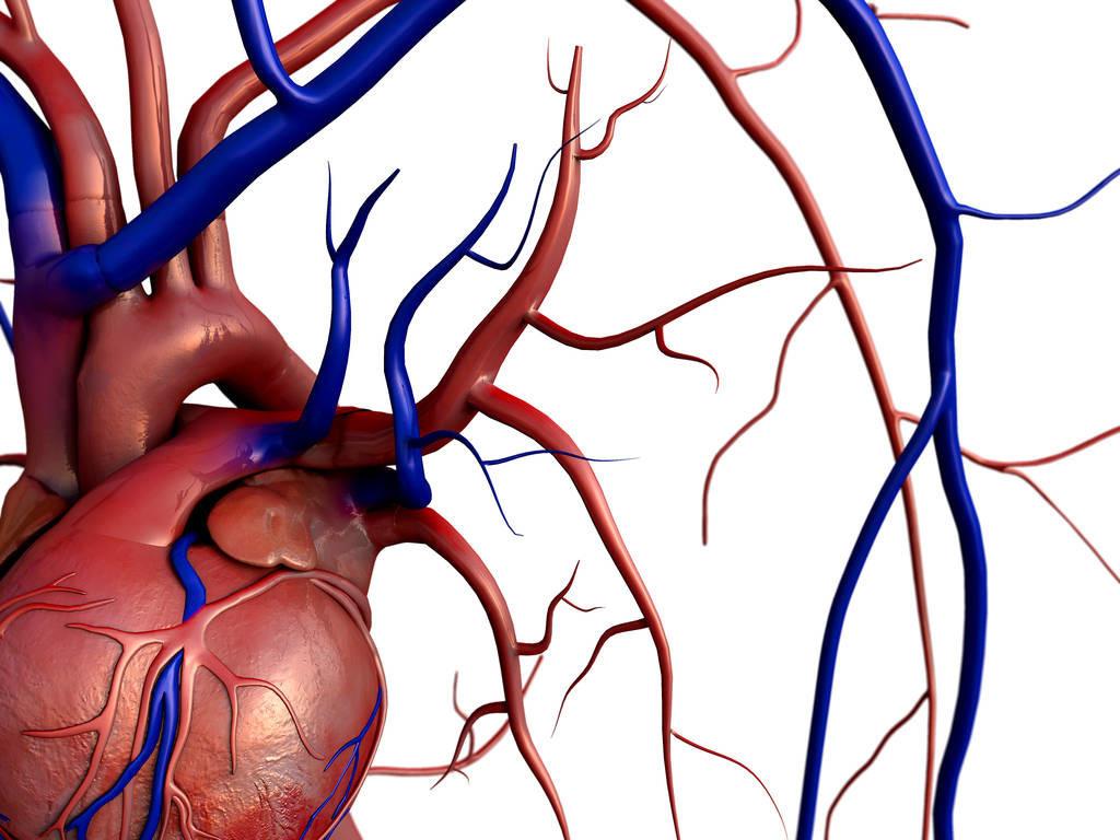 得了冠心病会不会心脏不舒服,冠心病搭支架后能活到正常寿命吗
