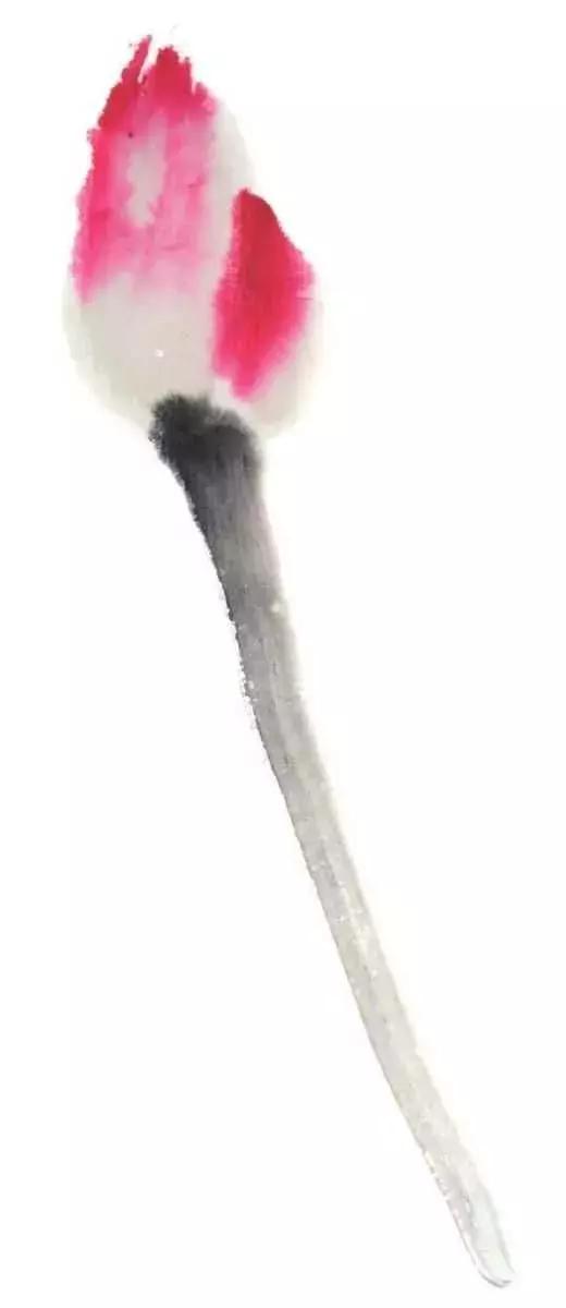 白描荷花的画法图片,如何画荷花国画白描