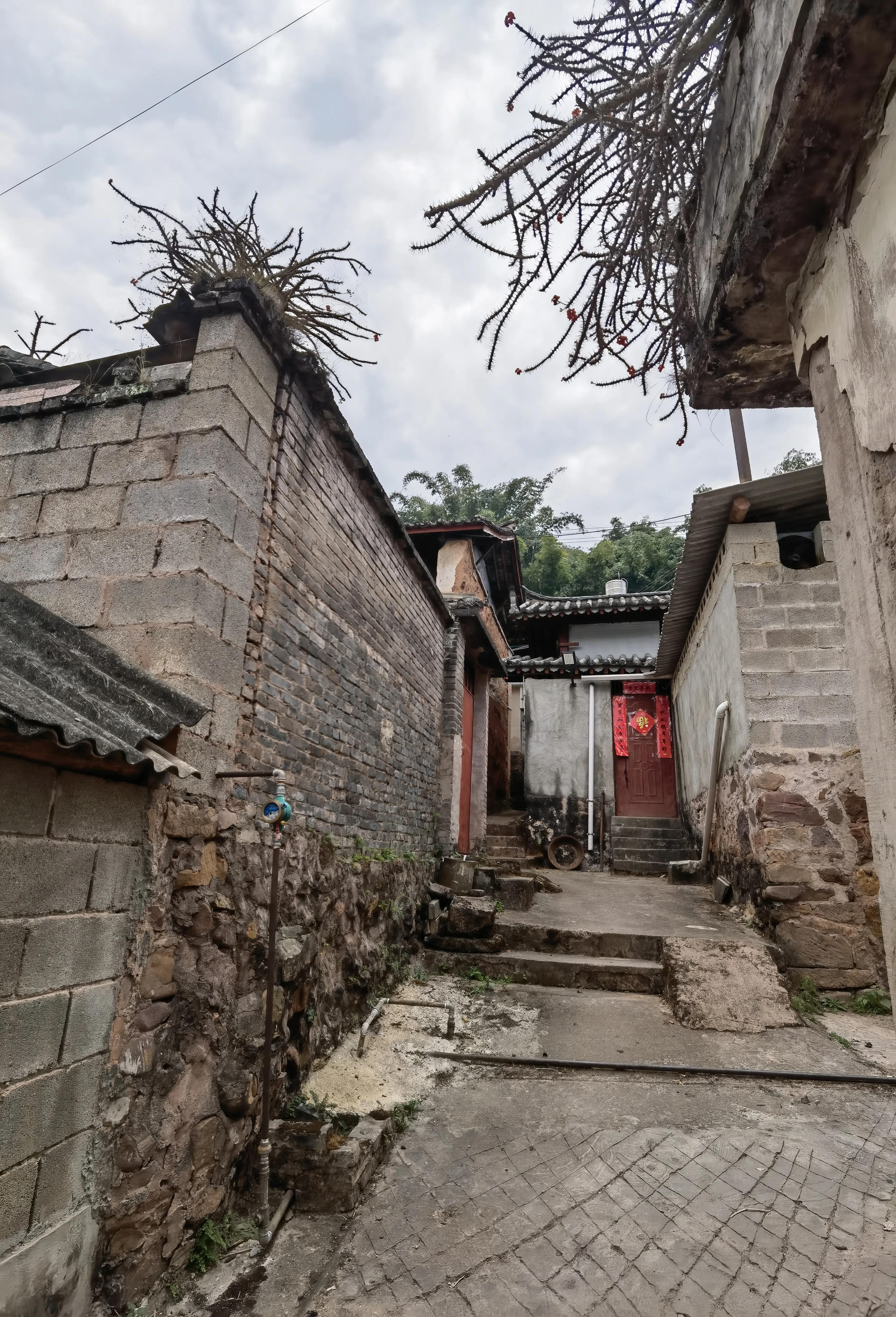 大渡岗十大名茶,大渡岗茶山文化