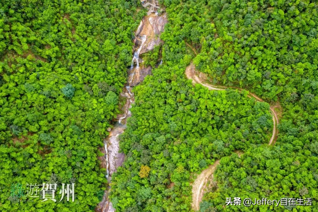 拍贺州｜莲塘镇大山深处的“一号基地”