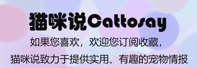 猫每天需要什么,猫每天要做的事情