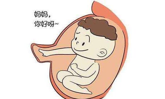 产妇顺产侧切的多吗,10个孕妇几个顺产几个剖宫产