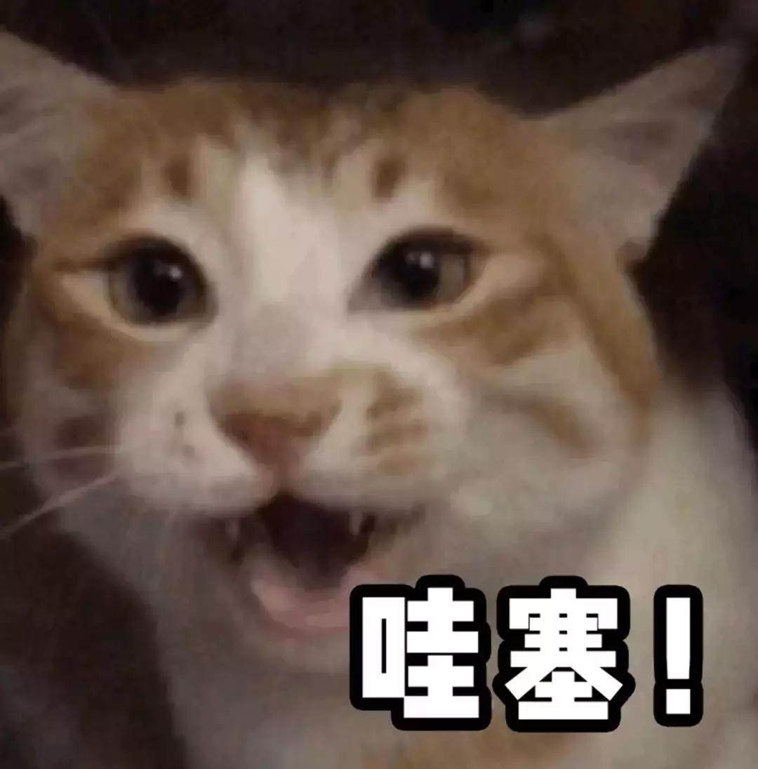 大白兔奶糖味的香水有哪些,大白兔奶香香水推荐平价小众