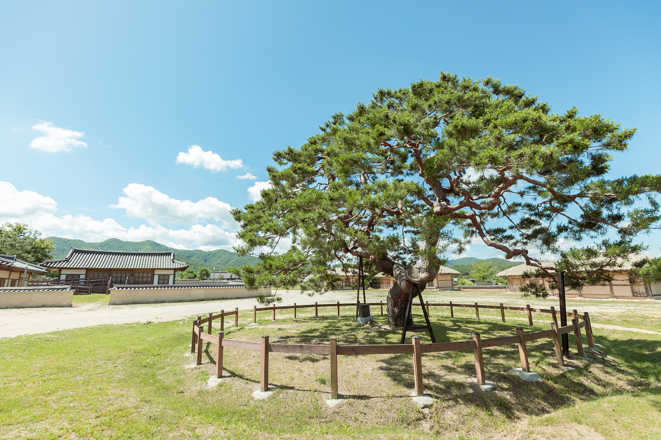 庆北三日，解锁你不知道的文化Korea