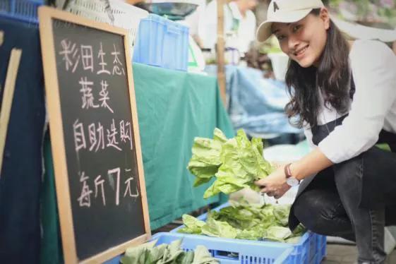 让农业回归原生态,呼唤传统农业回归