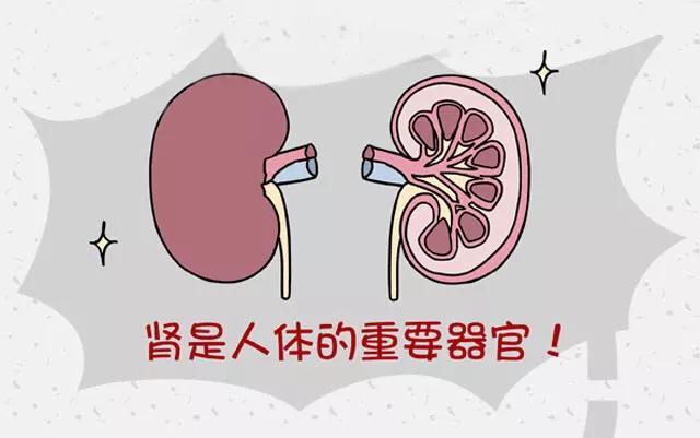 乙肝药替诺福韦怎么样,乙肝药有什么副作用