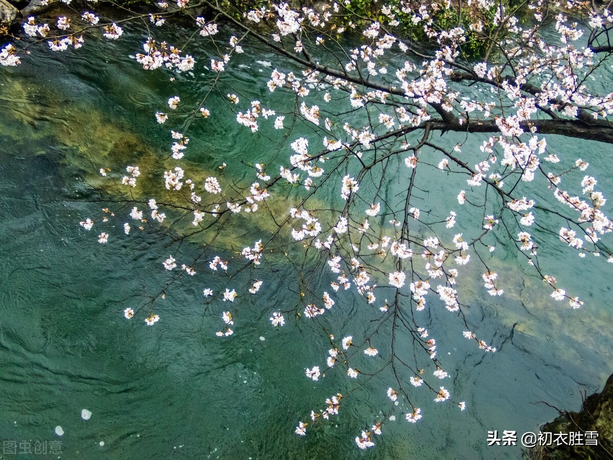 清丽早冬美诗五首赏读:杨柳不知秋已远,可怜冬景似春华