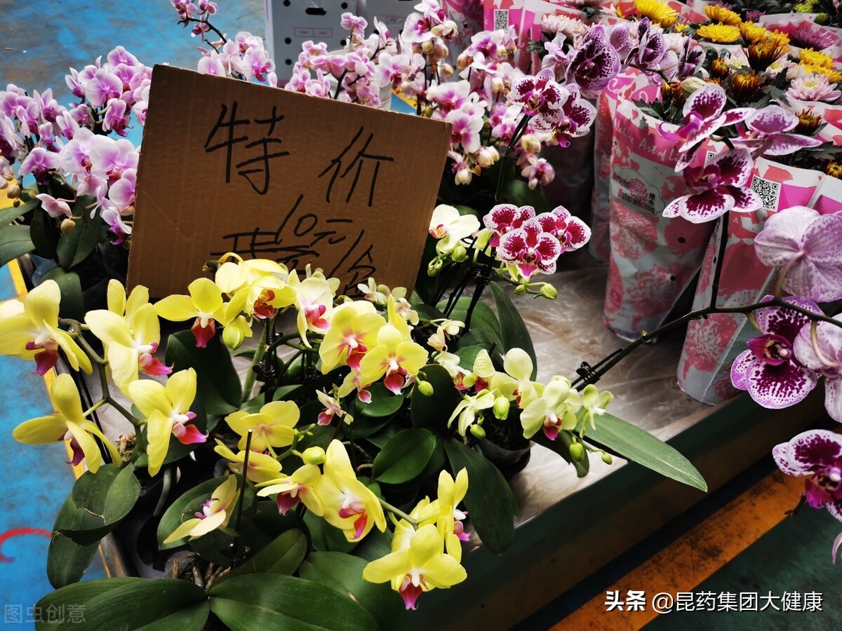 生活在云南昆明是什么感受,生活在昆明有多幸福