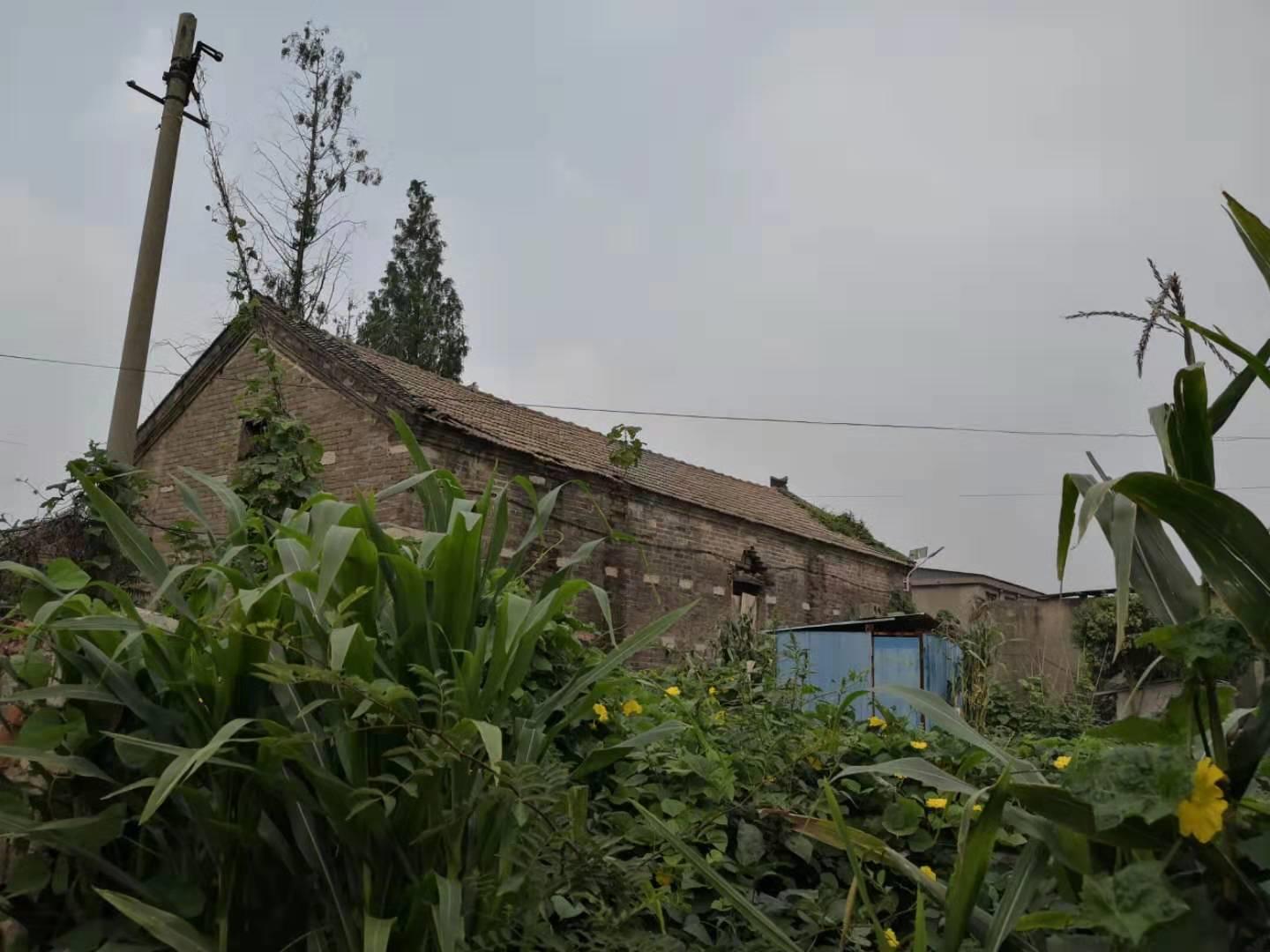 邳州古镇天气预报,邳州古镇宿羊山