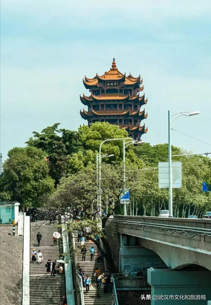 花young官方购票,花young套餐29元103g联通