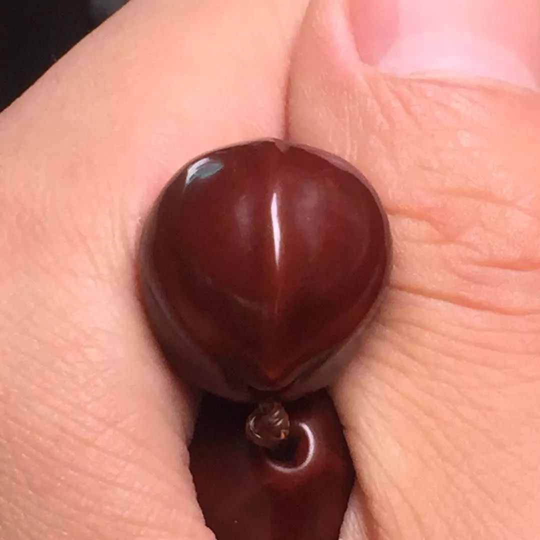 玉化核桃还需要盘吗,玉化核桃怎么盘