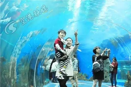 成都世警会比赛安排,世警会双流会场9号有什么赛事