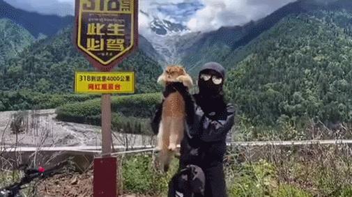 网红绑猫*藏西**骑行求关注,遭网友质疑回怼:比在家里刺激多了