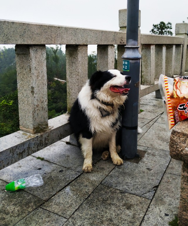 周日跟随珠海户外网板樟山游记
