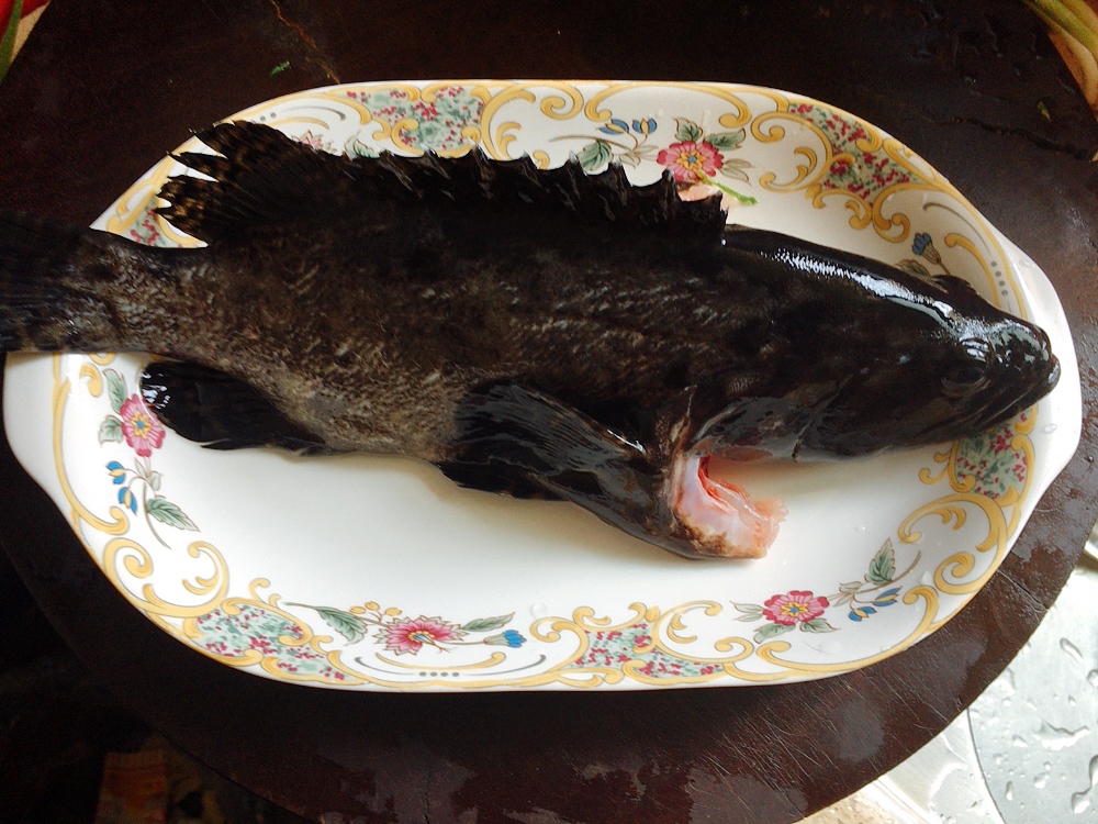 清蒸鱼的正确方法和用法,清蒸鱼鱼肉又老又腥一招教你搞定