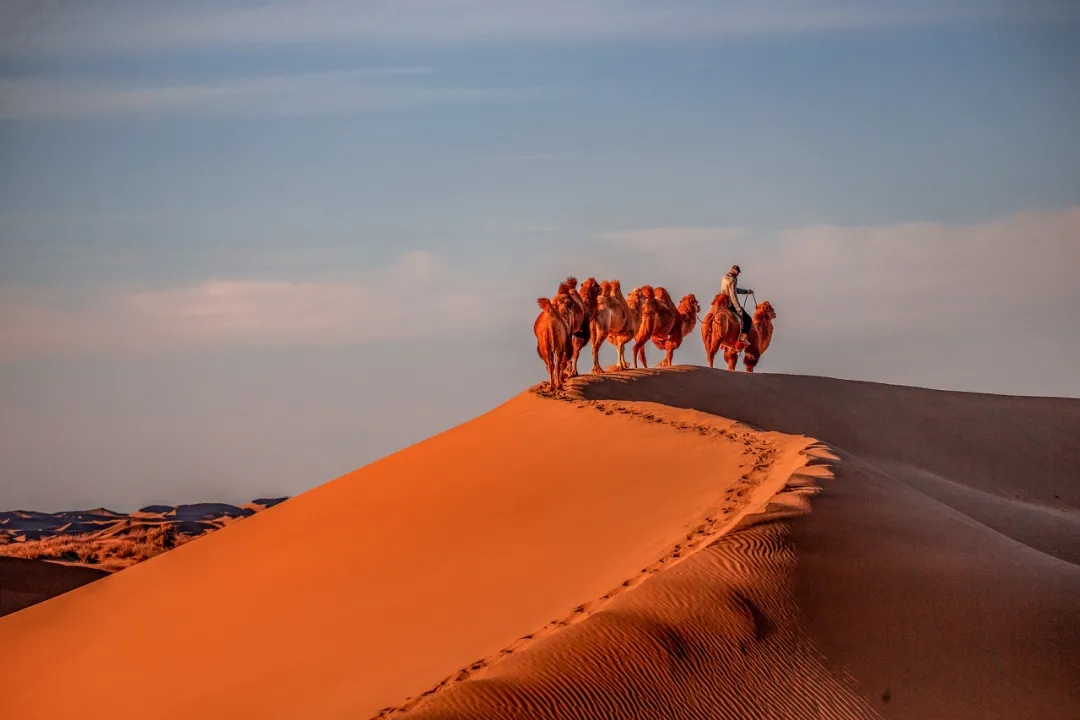秋天去额济纳旅游感受,10月底额济纳旗旅游推荐