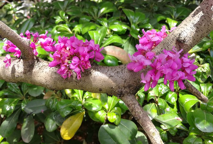 美丽的南湖公园夜景,南湖风景区真的太美了