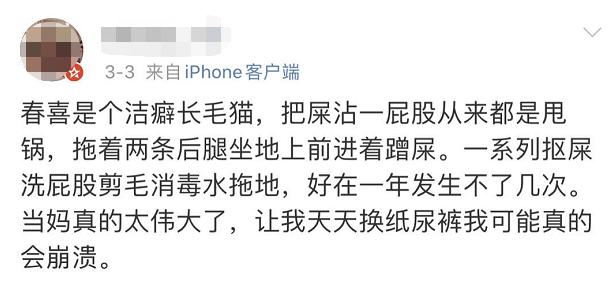 小猫咪为啥乱拉屎,有些小猫咪表面挺正常