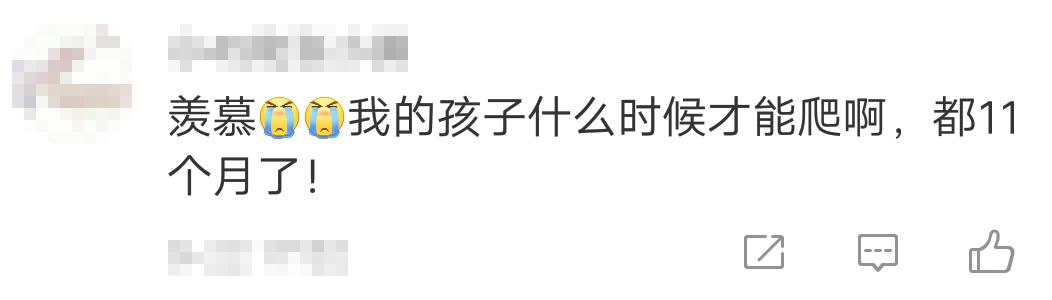 8个月的宝宝不会爬智商有问题吗,不会爬就对智力有影响吗