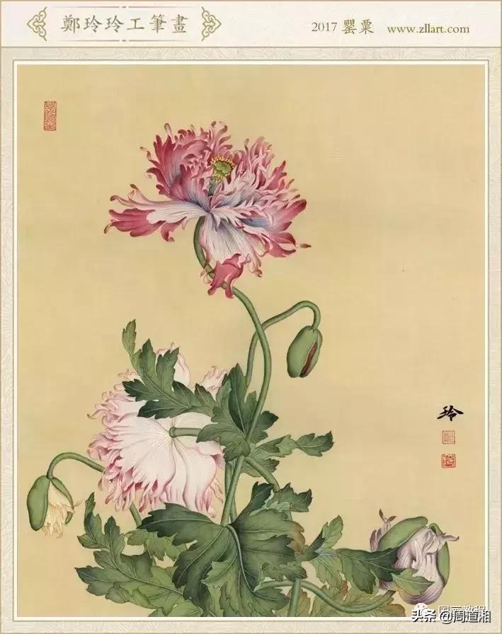 宋人工笔花鸟临摹步骤,工笔花鸟玉兰的画法