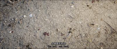 豆瓣9.3分这对夫妻打造1200亩生态农场，“堪称美版「李子柒」”