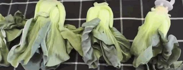 跟风买的厨房用品,之前跟风买的东西