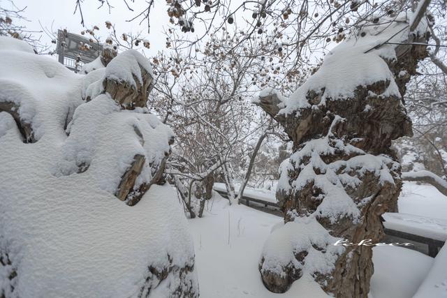 乌鲁木齐灯草沟滑雪,冰雪大世界滑雪体验