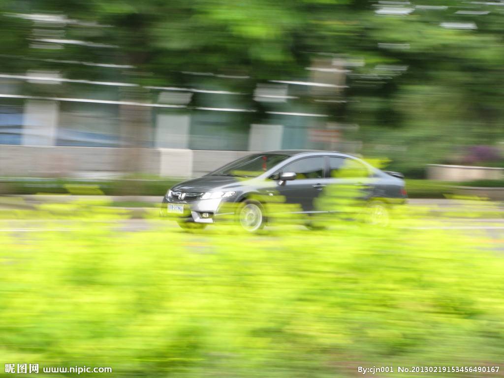 狗狗四个腿各跑各的,外国的狗狗品种