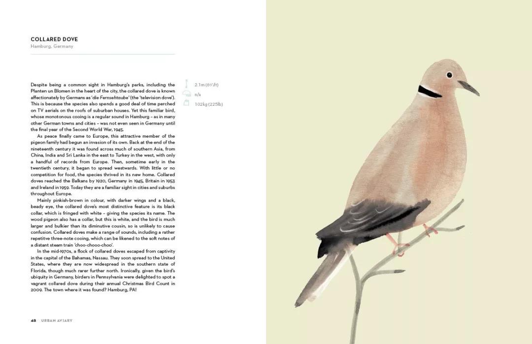 童真稚趣,稚拙童趣天真