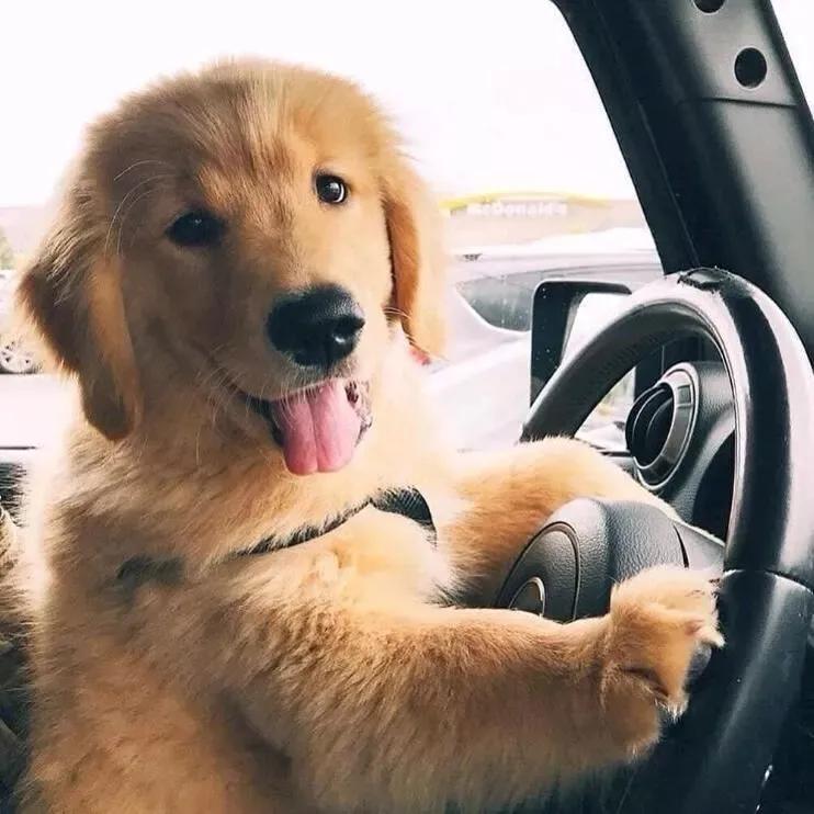 金牛座男生性格全面解析,金牛座性格超准分析十大特点