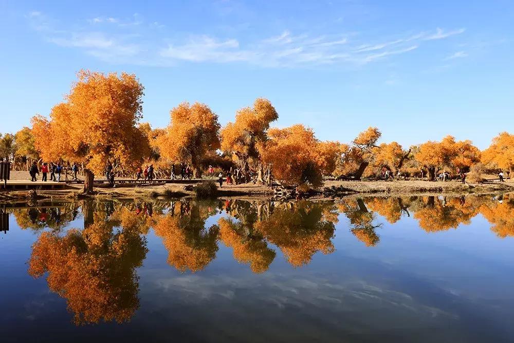 额济纳旅游自由行攻略,额济纳旗旅游最佳省钱攻略
