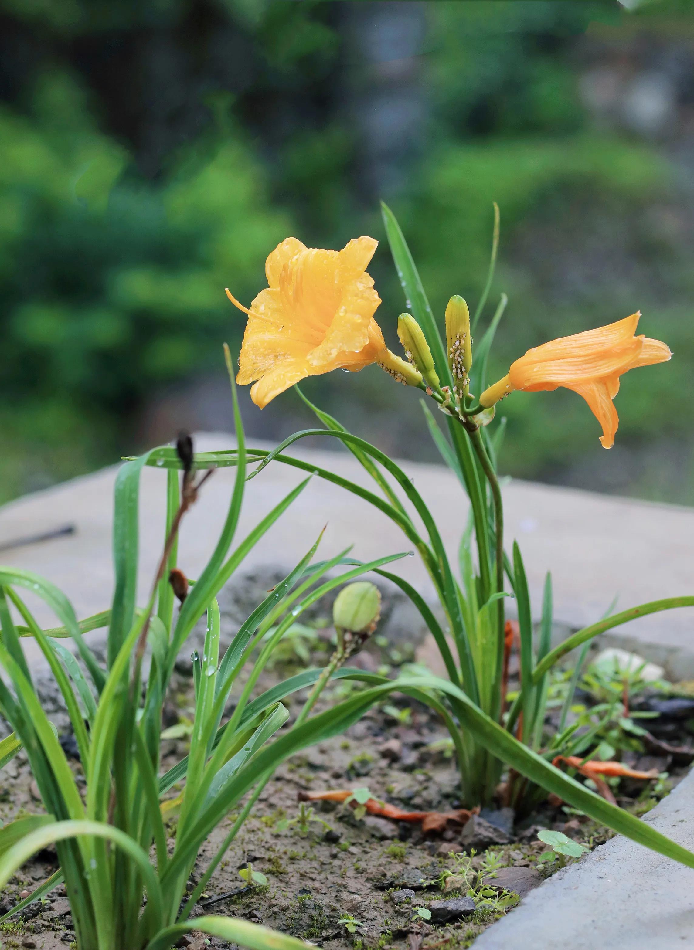 北京创意野奢酒店推荐,北京室内高端度假酒店推荐