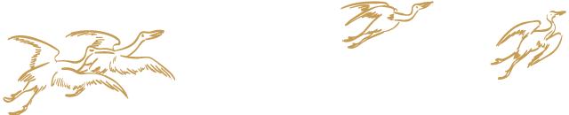 为什么智慧团建密码总显示错误,忘记密码智慧团建的密码怎么办