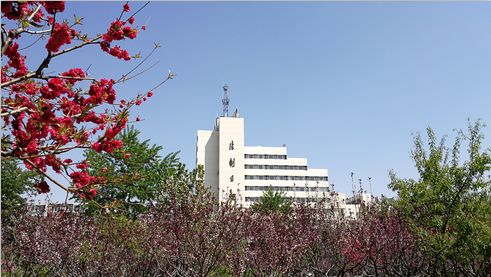 权健直销是啥东西,权健直销是什么