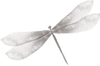 检察院提起的刑事公益诉讼,检察长出庭刑事附带民事公益诉讼