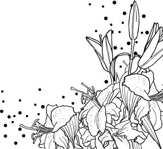 中国历史地理蓝勇,蓝勇西南历史